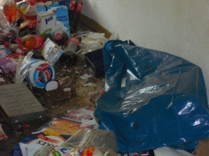 Desinfizierung-Renovierung (6).JPG